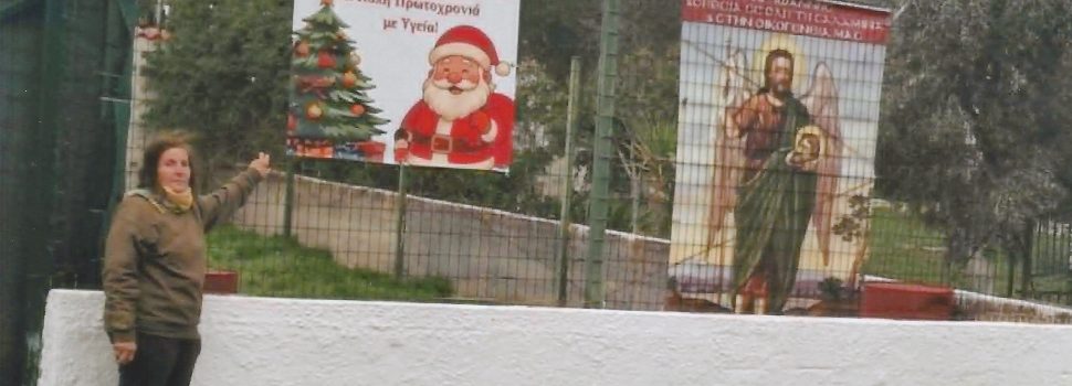 Ο Άγιος της ζωής της