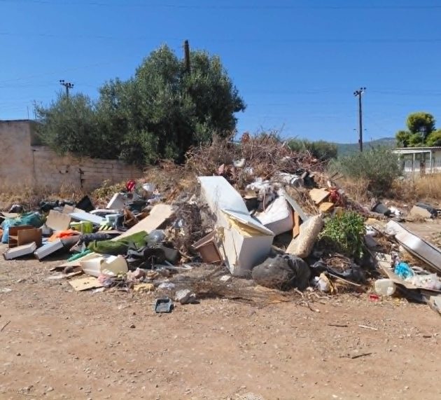 Καθαριότητα στη Σαλαμίνα: επτά χρόνια μετά, τι έχει αλλάξει;