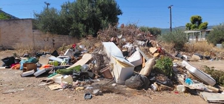 Καθαριότητα στη Σαλαμίνα: επτά χρόνια μετά, τι έχει αλλάξει;